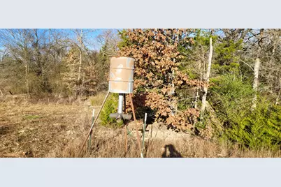 1191 County Road 2420, Pickton, TX 75471 - Photo 4