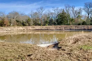 1191 Co Rd 2420, Pickton, TX 75471 - Photo 1