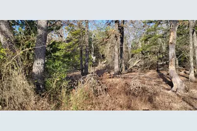 1191 County Road 2420, Pickton, TX 75471 - Photo 10