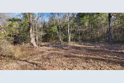 1191 County Road 2420, Pickton, TX 75471 - Photo 6