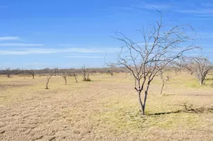 235 HCR 2128, Whitney, TX 76692 - Photo 10