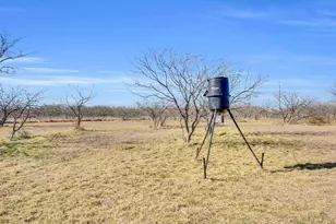 235 HCR 2128, Whitney, TX 76692 - Photo 8