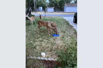 905 Poe Street, Azle, TX 76020 - Photo 6