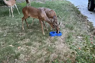 905 Poe St, Azle, TX 76020 - Photo 6