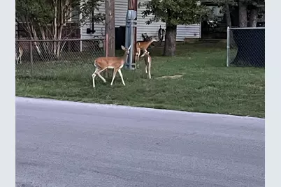 905 Poe Street, Azle, TX 76020 - Photo 30