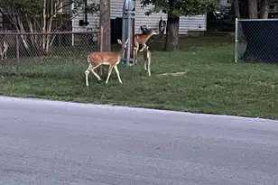 905 Poe St, Azle, TX 76020 - Photo 30