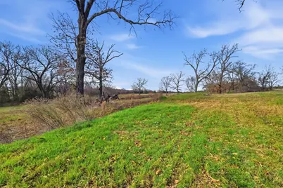 775 County Road 4919, Quitman, TX 75783 - Photo 8