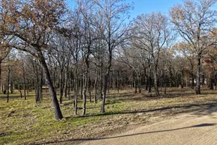 100 Oakmont Dr, Mabank, TX 75147 - Photo 14