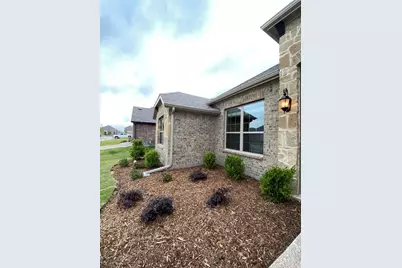 3101 Razorback Street, Melissa, TX 75454 - Photo 34