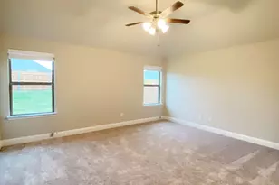 3101 Razorback St, Melissa, TX 75454 - Photo 12