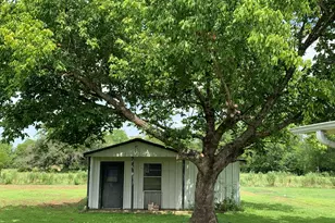 590 Co Rd 1570, Alba, TX 75410 - Photo 28