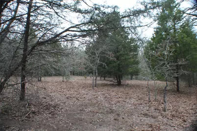 0 Fm 3054, Malakoff, TX 75148 - Photo 16