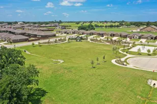 157 Greengate Dr, Boyd, TX 76023 - Photo 40