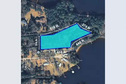 Tbd Carene Drive, Frankston, TX 75763 - Photo 4