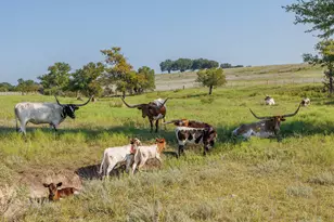 Tbd 16 Pr 20, Glen Rose, TX 76690 - Photo 14