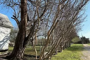 401 E Spruce St, Whitewright, TX 75491 - Photo 24