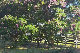 9394 Co Rd 865, Princeton, TX 75407 - Photo 4