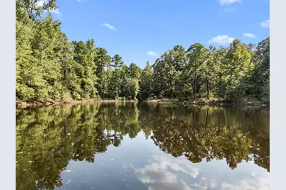 1081 County Road 3875, Mineola, TX 75773 - Photo 4