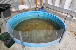 6968 Fm 2125 N, Lake Brownwood, TX 76801 - Photo 20