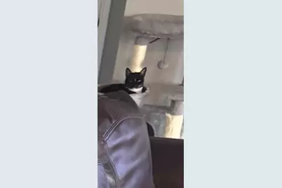 415 Ingred, Waco, TX 76705 - Photo 10