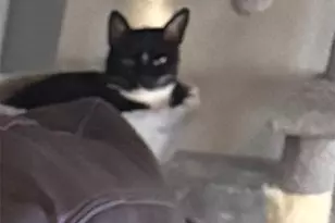 415 Ingred, Waco, TX 76705 - Photo 10