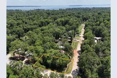 Lot 101 Ithica, Livingston, TX 77351 - Photo 2