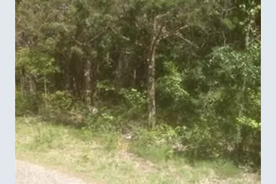 164 Sioux Drive, Gordonville, TX 76245 - Photo 2