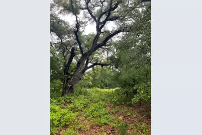 213 Pr 1743B, Clifton, TX 76634 - Photo 8