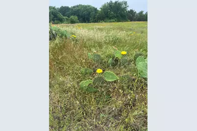 213 Pr 1743B, Clifton, TX 76634 - Photo 14