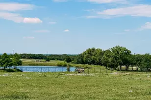 6865 Co Rd 177, Celina, TX 75009 - Photo 8