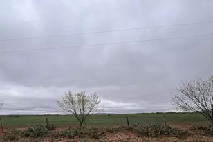 3278 FM1770, Winters, TX 79567 - Photo 8