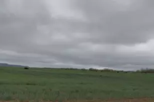 3278 FM1770, Winters, TX 79567 - Photo 10
