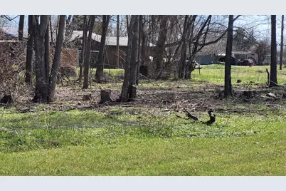 101 E Dalewood Street, Richland, TX 76681 - Photo 4