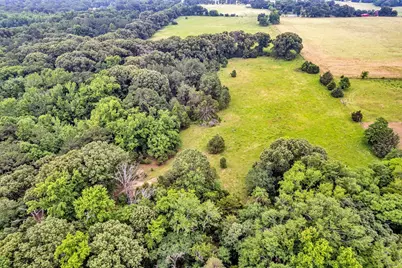 15000 County Road 472 #44 Acres, Tyler, TX 75706 - Photo 4