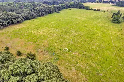 15000 County Road 472 #44 Acres, Tyler, TX 75706 - Photo 6