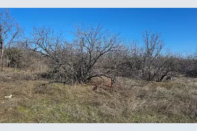 3206 NW 820 Loop, Fort Worth, TX 76135 - Photo 8