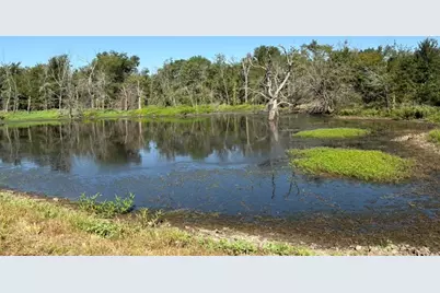 Tbd County Road 4744, Sulphur Springs, TX 75482 - Photo 1