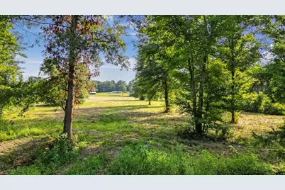 Tbd S Live Oak, Gilmer, TX 75644 - Photo 18