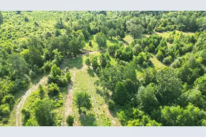 Tbd S Live Oak, Gilmer, TX 75644 - Photo 10