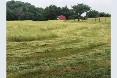 3739 W Fm 515, Como, TX 75431 - Photo 8