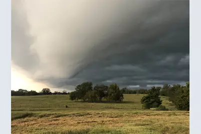 3739 W Fm 515, Como, TX 75431 - Photo 10