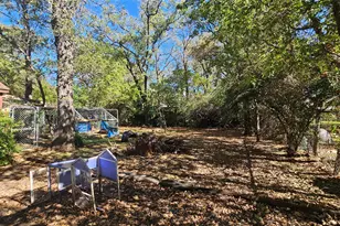 2620 N Elm St, Denton, TX 76201 - Photo 4