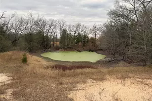 10230 Pr 5403, Malakoff, TX 75148 - Photo 14