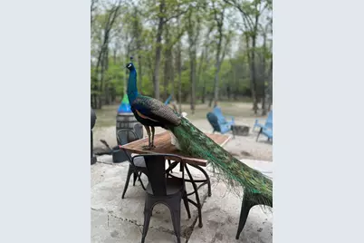 2599 County Road 2510, Quinlan, TX 75474 - Photo 40