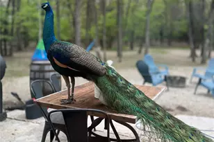 2599 Co Rd 2510, Quinlan, TX 75474 - Photo 40