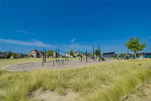 1409 Ladys Mantle Wy, Celina, TX 75078 - Photo 34