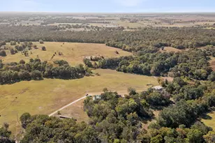 1133 Vz County Road 2413, Canton, TX 75103 - Photo 34