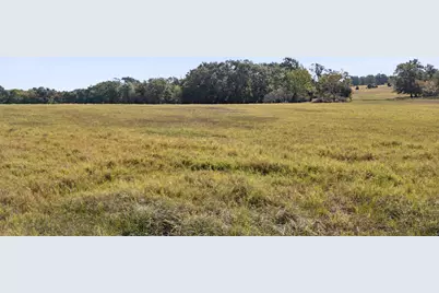 1133 Vz County Road 2413, Canton, TX 75103 - Photo 30