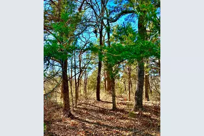 Lot 15 Dublin Circle, Gordonville, TX 76245 - Photo 2