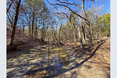 8708 Fm 697, Whitewright, TX 75491 - Photo 2